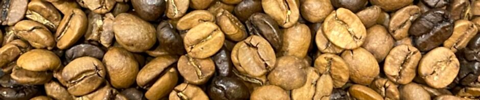 Han Kurukahvecisi 1912